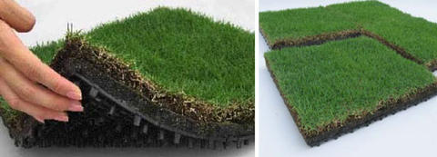 Green Roof Tiles by Toyota Roof Garden
